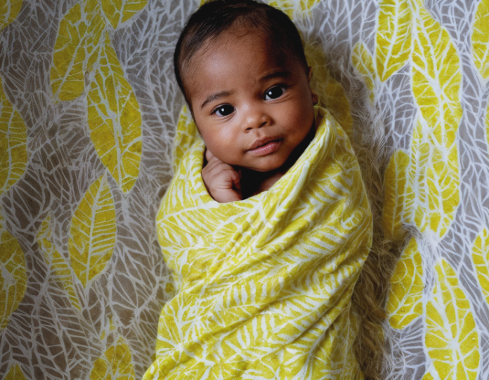 freesnippingtool.com_capture_20251024115925