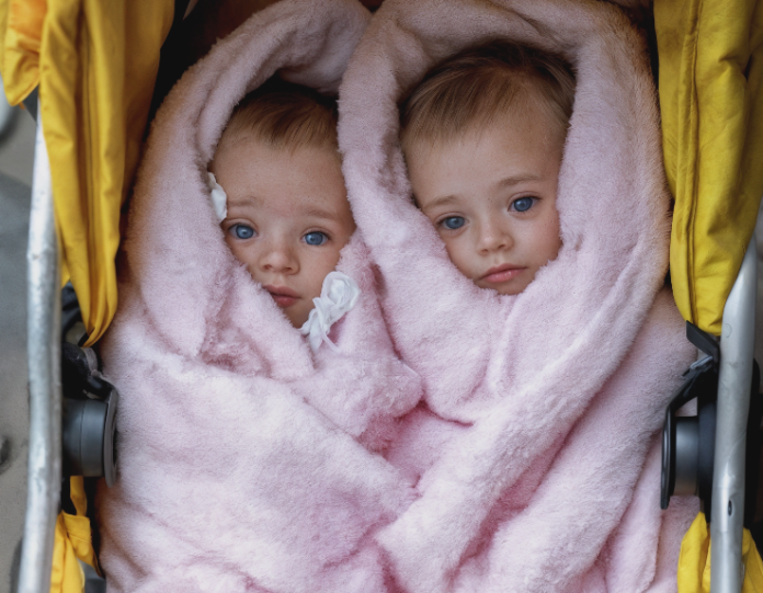 freesnippingtool.com_capture_20251226143630