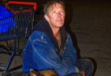 J’ai donné à manger à un vétéran affamé et à son chien – un mois plus tard, mon patron m’a traînée dans son bureau, furieux, et toute ma vie a basculé